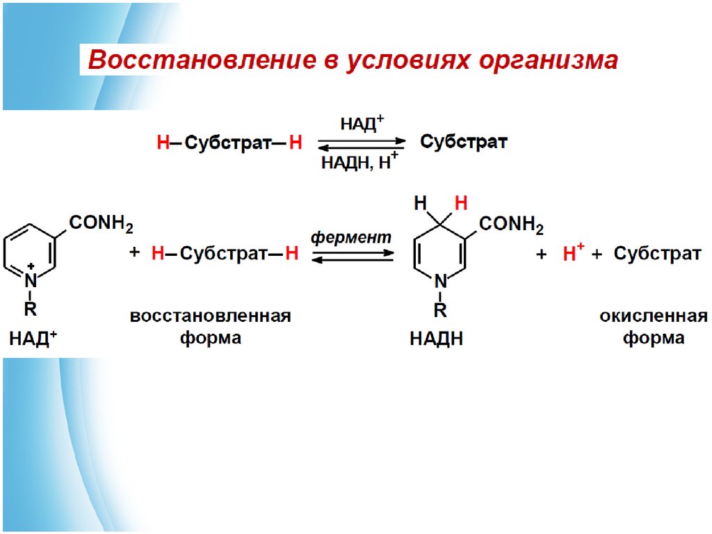 Восстановление над. НАДФ окисленная и восстановленная форма. Строение окисленной и восстановленной форм НАДФ. НАДН восстановленный. Восстановленная форма над.