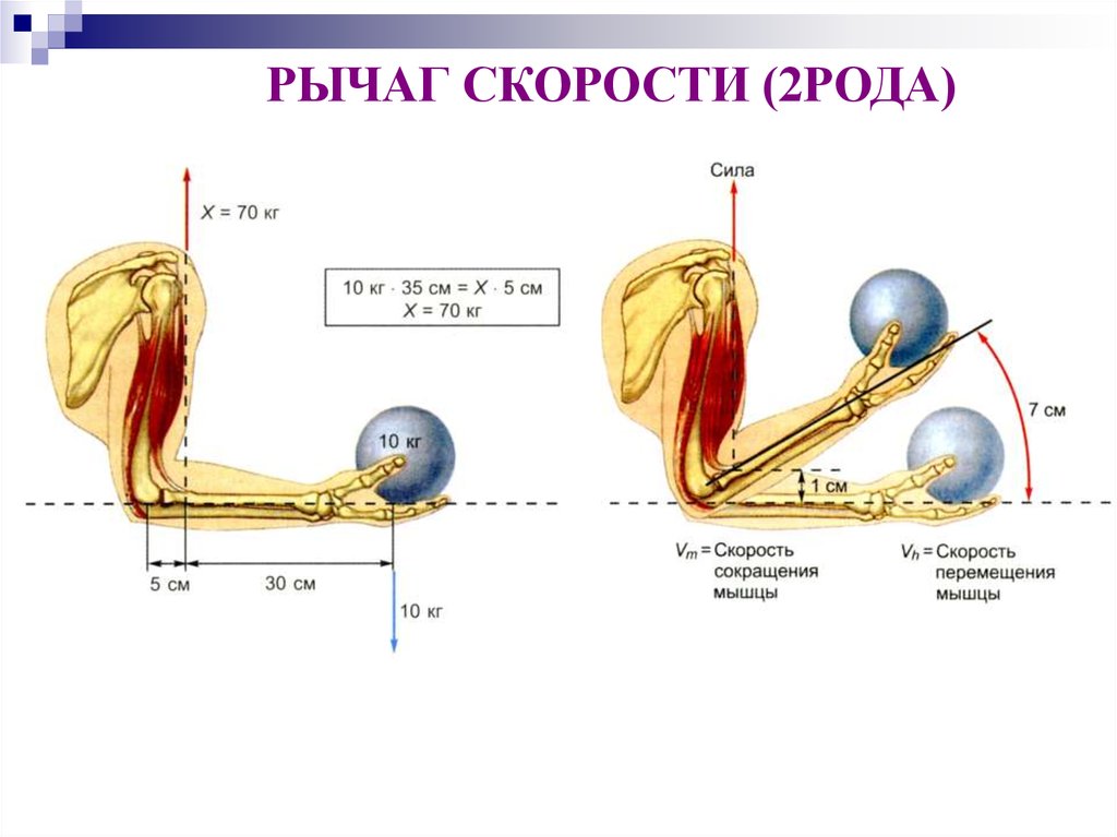 Рычаги усилия