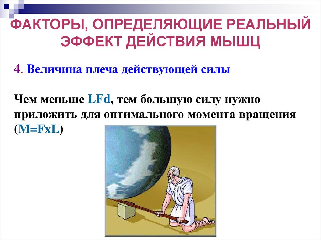 Эффект действия. Факторы определяющие реальный эффект действия мышц. Момент вращения мышц.