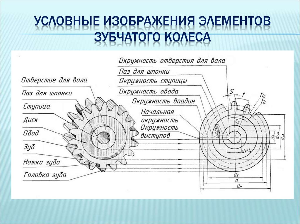 Зубчатое колесо схема