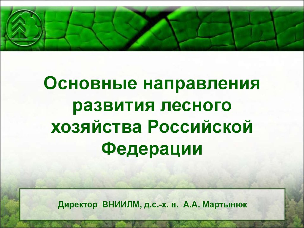 Лесное хозяйство россии презентация