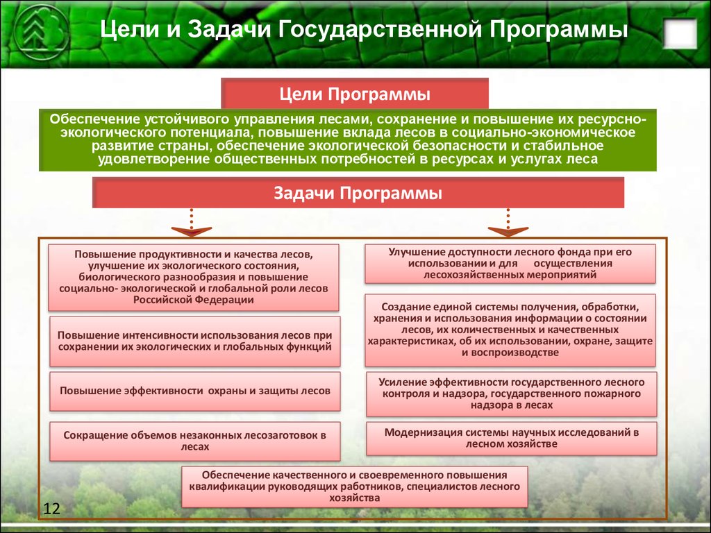 Цели и задачи леса. Основные направления лесного хозяйства. Цели и задачи государственных программ. Программа развития лесного хозяйства. Цели лесного хозяйства.