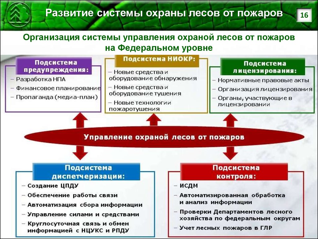 Используя документ прогноз развития лесного. Система охраны лесов от пожаров. Система управления охраной лесов от пожаров. Методы охраны лесов от пожаров. Система управления лесным хозяйством РФ.