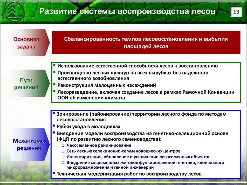 Используя документ определить перспективы развития лесного комплекса