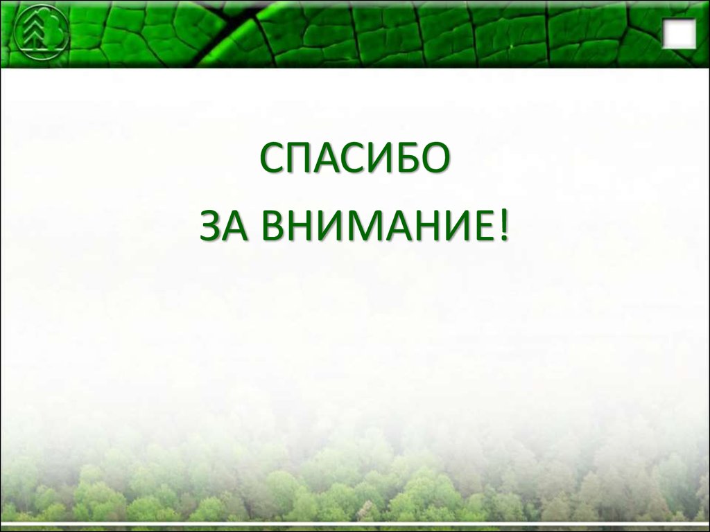 Лесное хозяйство россии презентация