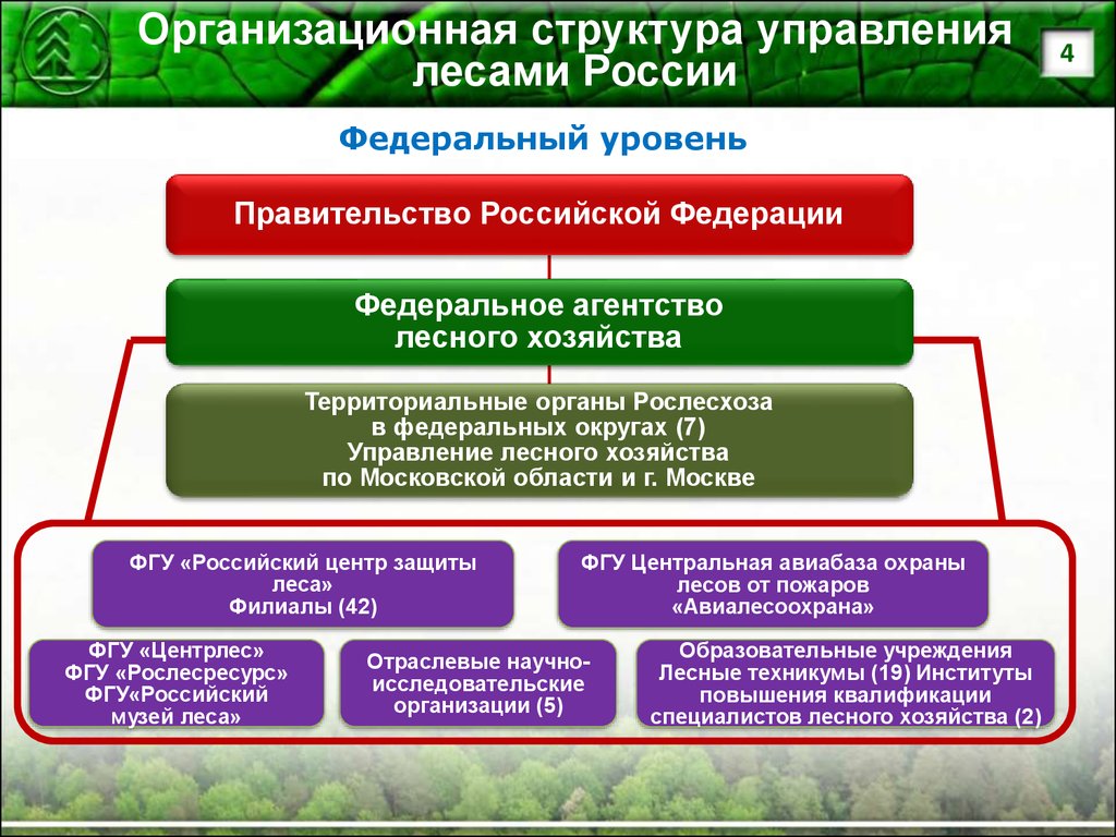 Федеральный проект сохранение лесов федеральный проект сохранение лесов