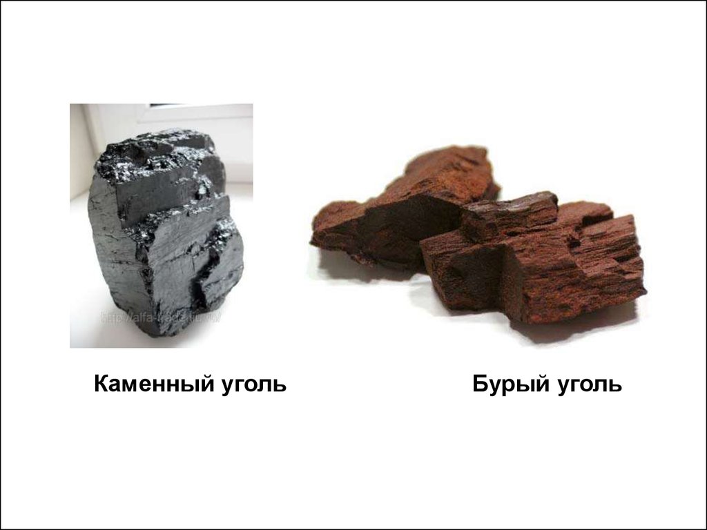 Чем отличается каменный уголь. Бурый уголь лигнит. Леонардит и бурый уголь. Каменный и бурый уголь. Бурый уголь и каменный уголь.