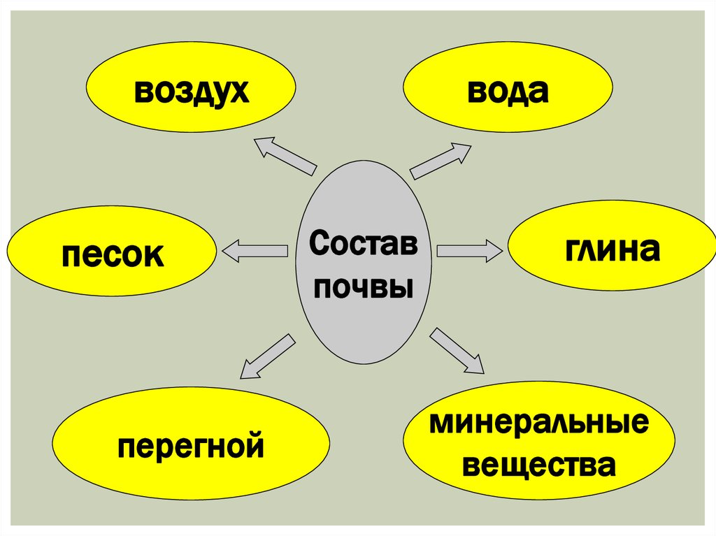 Состоит из 5 частей. Состав почвы 3 класс окружающий мир. Из чего состоит почва. Пиз чего состоит почва. Из чево состаит почьва.