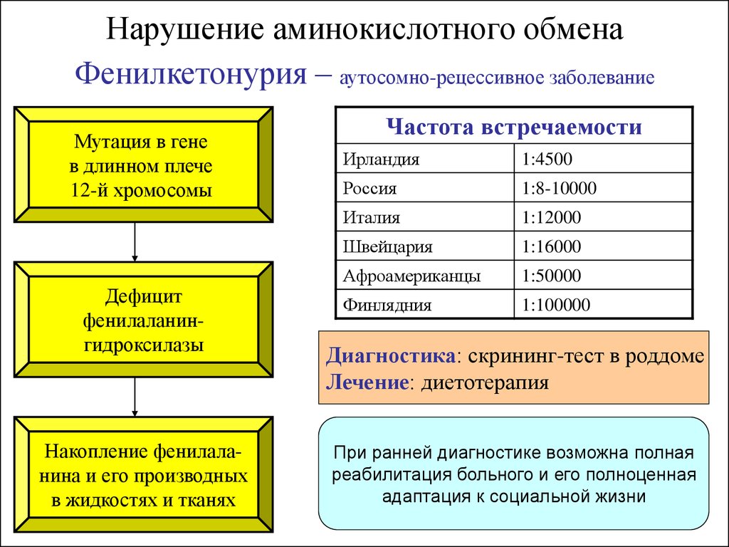 Болезни нарушения обмена. Наследственные нарушения обмена аминокислот болезни. Нарушение обмена аминокислот фенилкетонурия. Врожденные нарушения обмена аминокислот. Заболевания связанные с расстройством аминокислотного обмена.