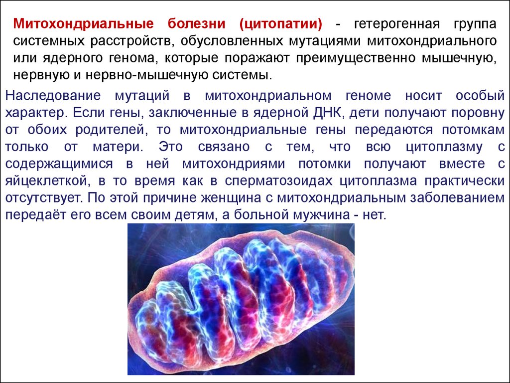 Болезни связанные с мутациями генов. Заболевания связанные с мутацией ДНК митохондрий. Митохондриальные наследственные заболевания. Митохондриальные заболевания человека. Болезни митохондрий.