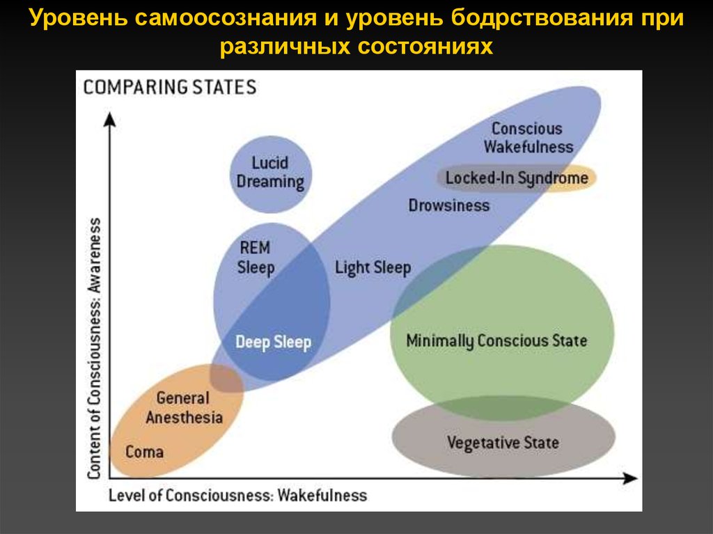 Разное состояние. Уровни бодрствования. Континуум уровней бодрствования. Шкала уровней бодрствования. Состояние бодрствования.