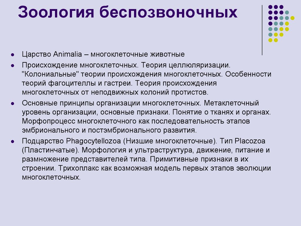 Царство беспозвоночных. Теория целлюляризации. Живая модель теории целлюляризации. Урок основные этапы эволюции беспозвоночных животных. Гипотеза целлюляризации кратко.