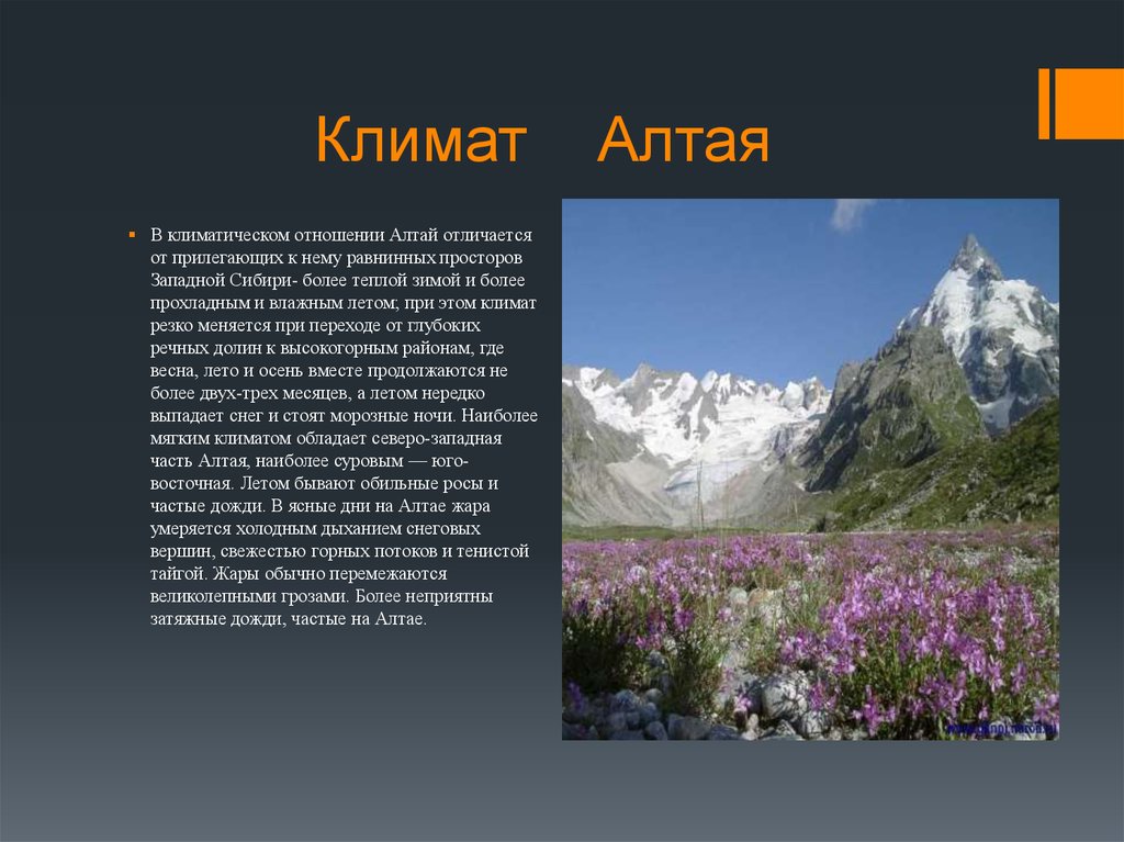 Республика алтай таблица. Алтай природно климатическая зона. Климат Алтая. Климатические пояса горы Алтай.