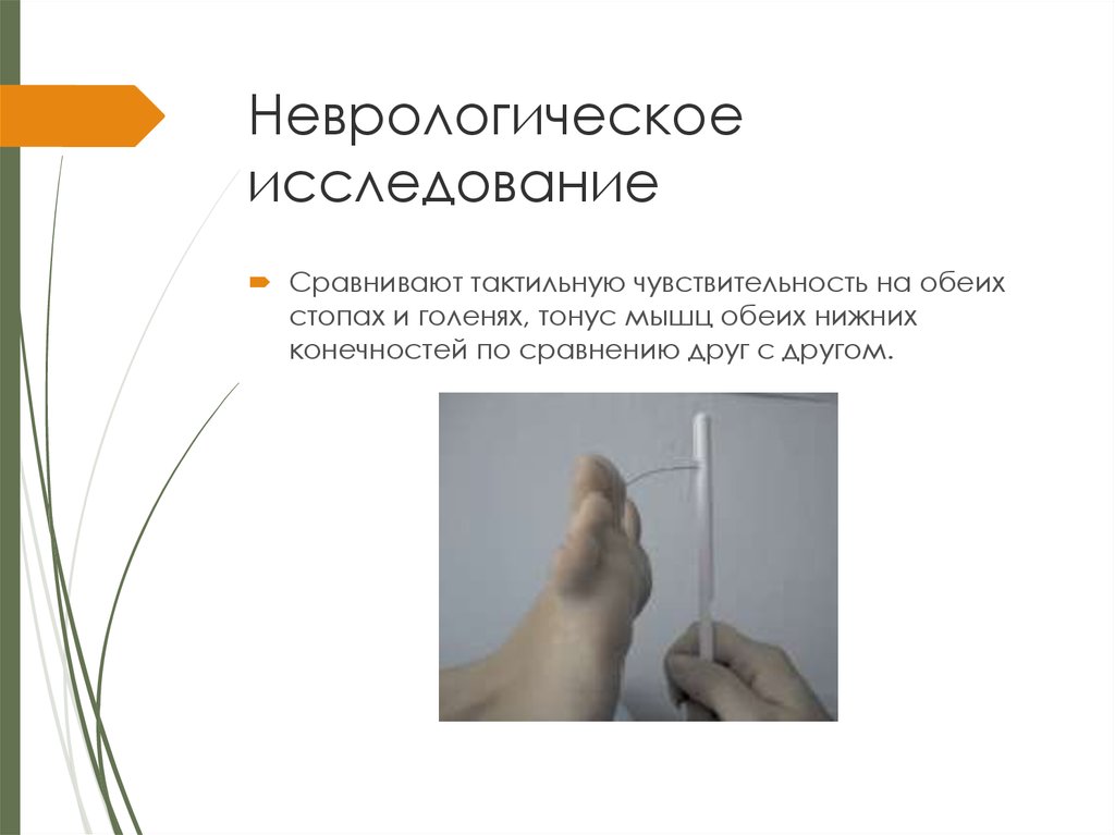 Неврологическое исследование