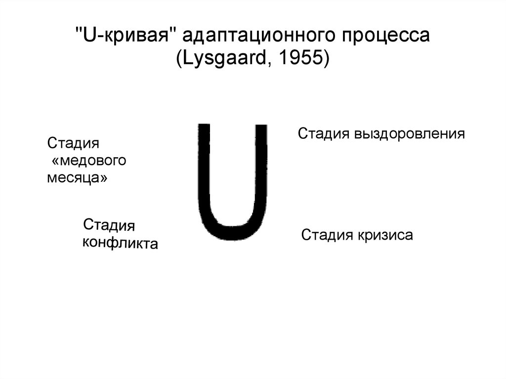 "U-кривая" адаптационного процесса (Lysgaard, 1955)