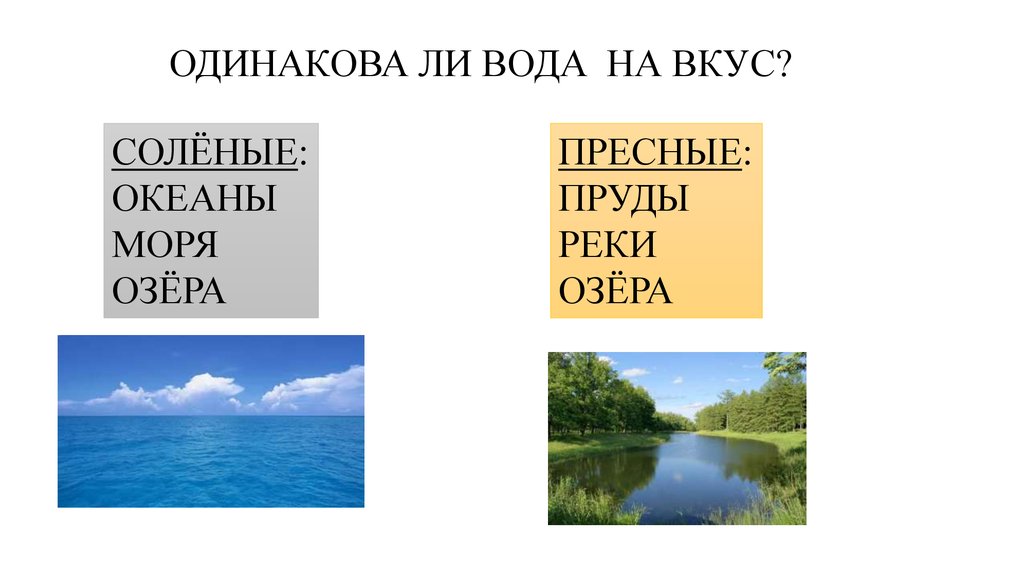 Озеро пресный или соленый. Задания водоемы. Океан соленый или пресный. Одинакова ли на вкус вода в разных морях 3 класс окружающий мир.