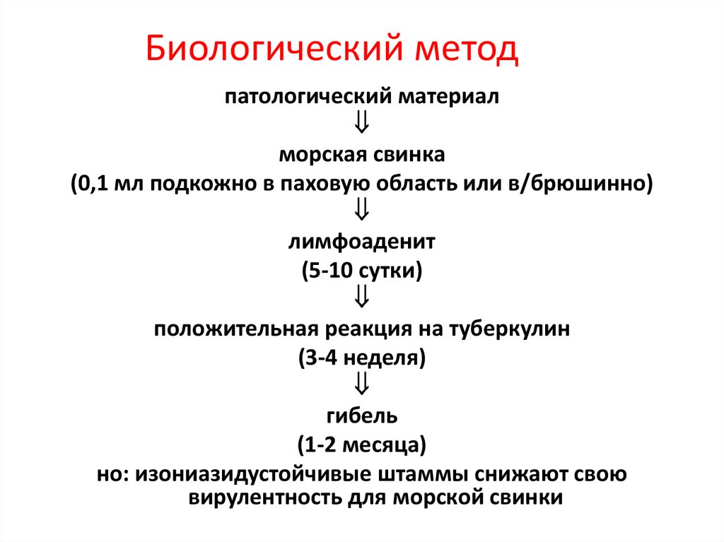 Биологический метод исследования. Биологический метод. Биологический метод методика. Этапы биологического метода. Компонента на биологический метод.