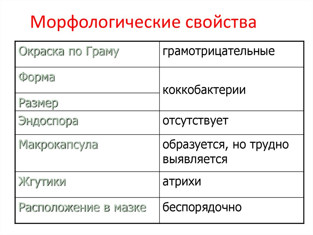 Морфологические свойства слова. Морфологические свойства. Морфологические свойства человека. Морфологические качества человека это. Морфологические свойства МО.