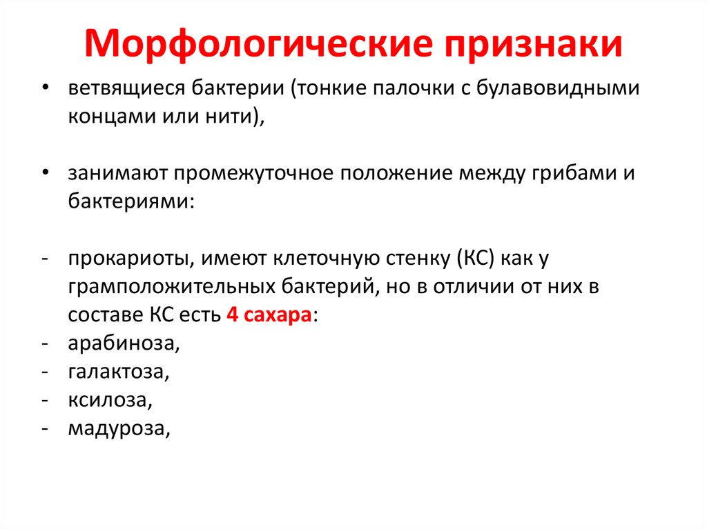 Значение морфологических признаков. Морфологические признаки живых организмов. Морфологические особенности. Морфология признаки. Морфологические особенности признаки.