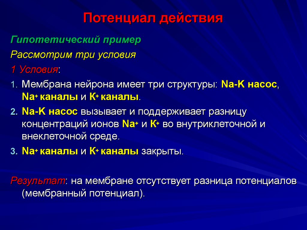 Гипотетический. Потенциал мембраны нейрона. Мембрана нейрона в состоянии покоя. Мембрана нейрона в состоянии покоя имеет положительный потенциал. Мембрана нейрона в состоянии возбуждения имеет какой потенциал.