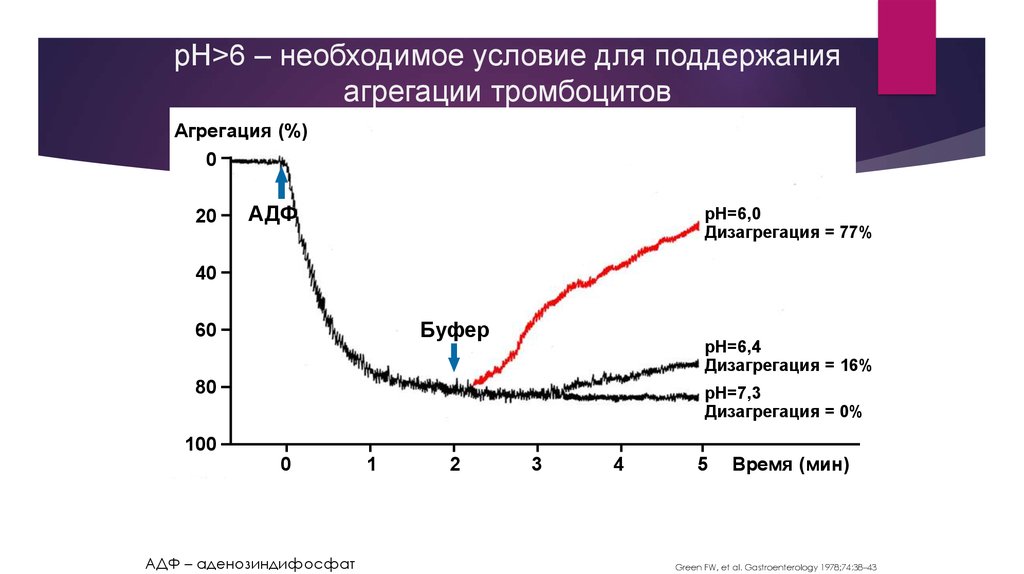 Ингибиторы протонной помпы презентация