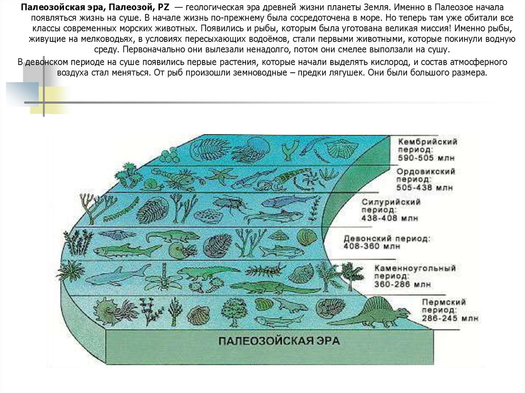 Геологическая эра палеозойская. Девонский период палеозойской эры таблица. Палеозой геологические процессы. Геологические периоды палеозойской эры. Палеозойская Эра периоды таблица.