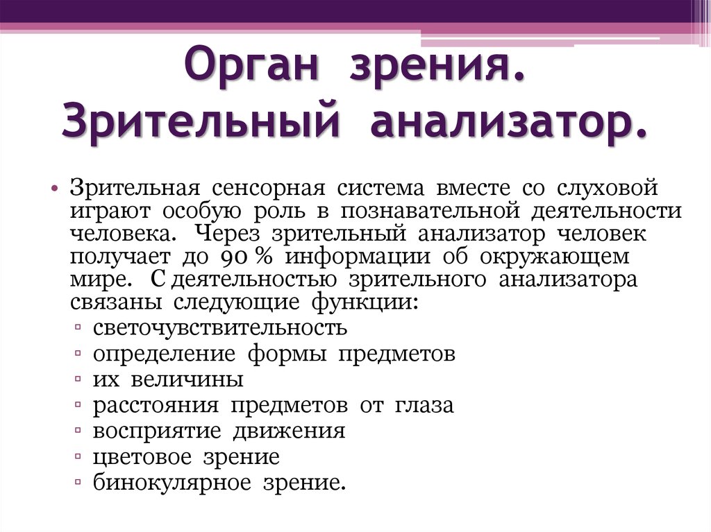 Анализатор зрения. Функции зрительного анализатора. Функции анализатора зрения. Функции зрительного анализа Ора. Функции зрительного анализатора человека.