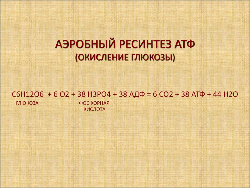 Ресинтез атф. Аэробный механизм ресинтеза АТФ. Аэробный путь ресинтеза АТФ субстрат. Субстраты для аэробного ресинтеза АТФ. Эффективность аэробного ресинтеза АТФ.