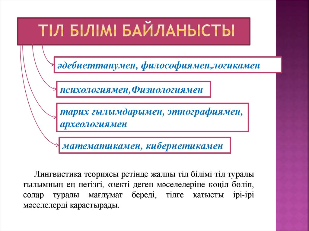 Тіл білімі. Тіл. Тіл деген не. Лексика саласы. Стилистика стиль туралы ғылым.