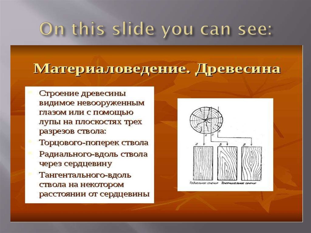 Понятие дерева элементы дерева 8 класс. Функция древесины. строение древесины которое видно невооруженным глазом. структурные элементы древесины. презентация на тему строение и свойства древесины.