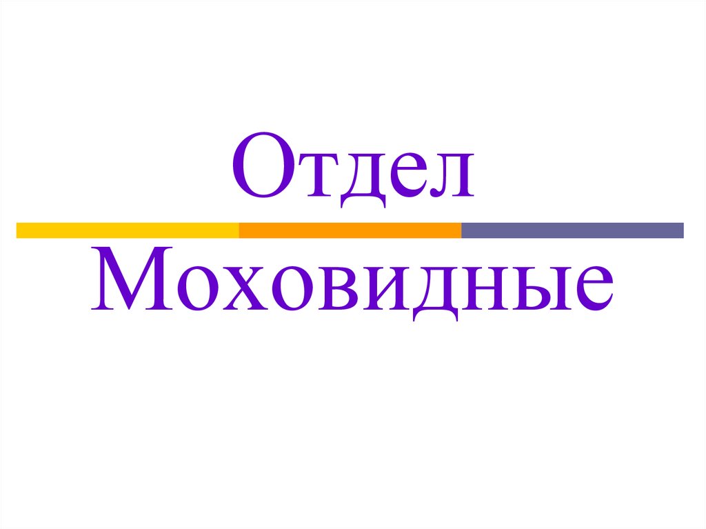 Отдел Моховидные