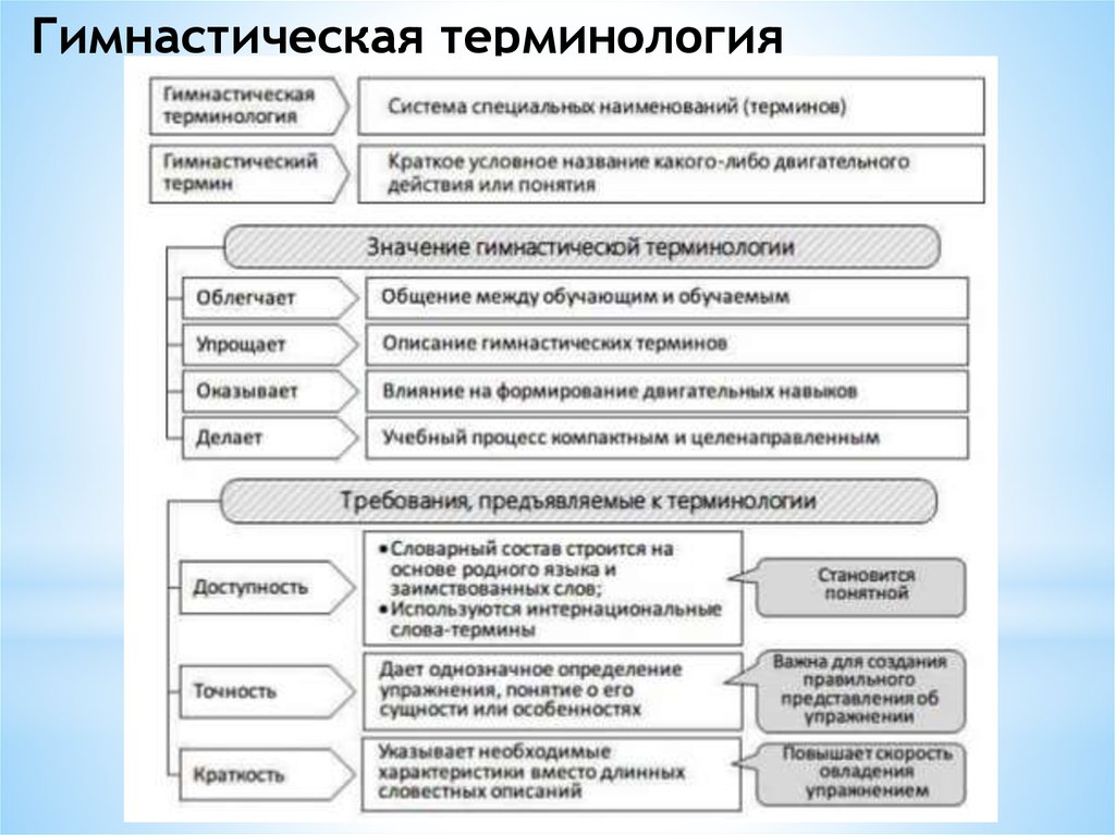 Требования к терминам. Правила гимнастической терминологии. Требования к гимнастической терминологии. Требования к терминологии в гимнастике. К гимнастической терминологии предъявляются требования.