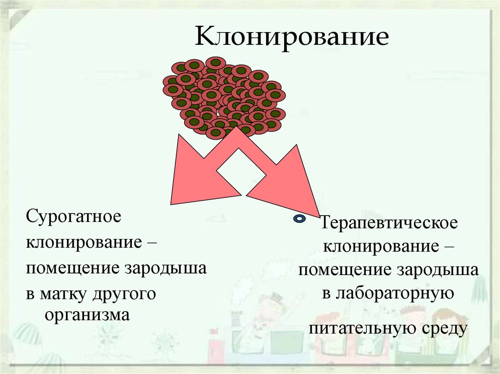 Клонирование организмов за и против проект