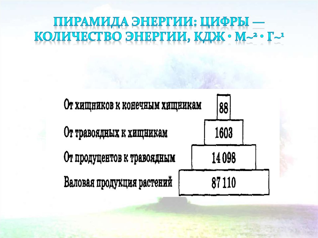 Наименьшее количество энергии 5. Пирамида энергии. Экологическая пирамида энергии. Пирамида энергии экология. Экологическая пирамида энергии пример.