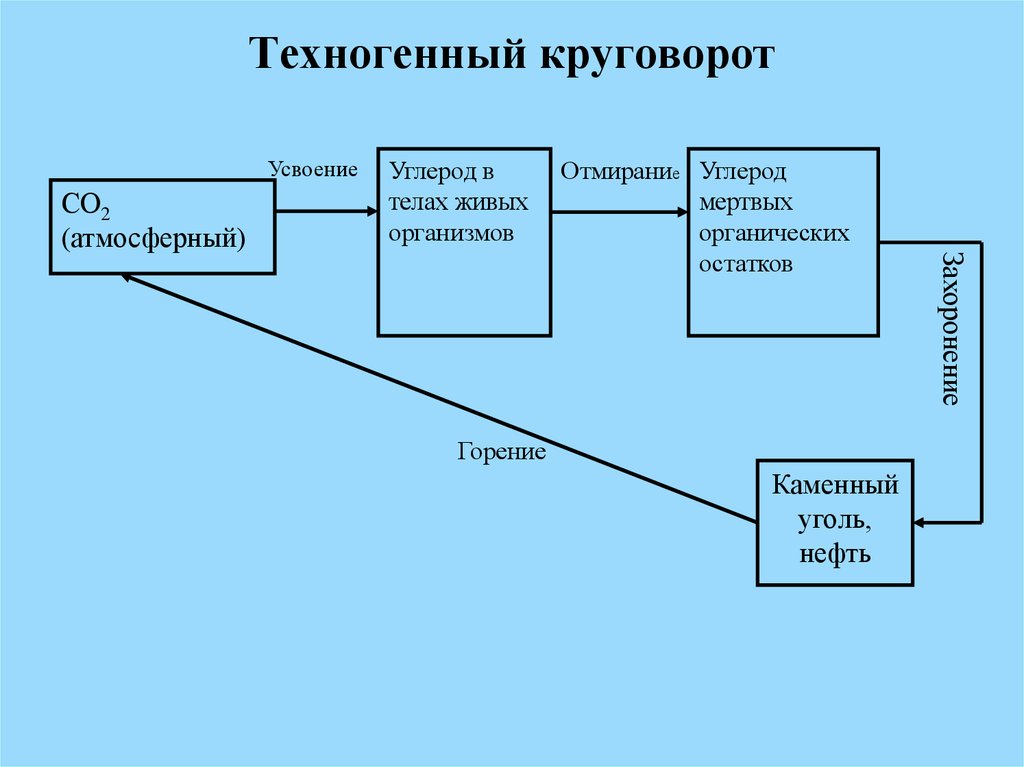 Схема техногенного круговорота веществ