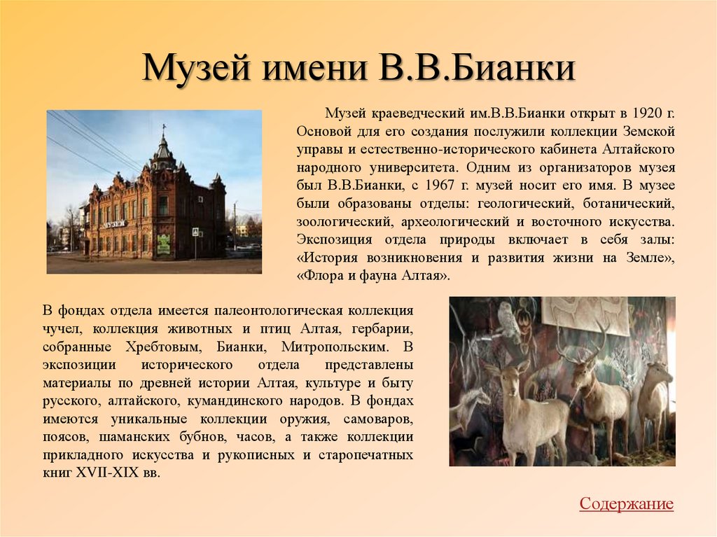 Музей имени В.В.Бианки