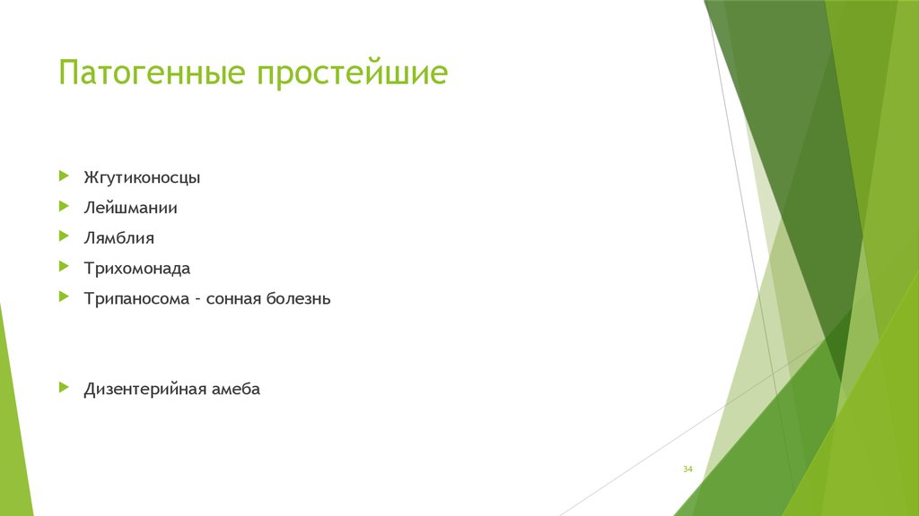 План получение. Классификация патогенных простейших. Патогенные для человека протисты. Патогенные виды простейших.. Простейшие патогенные представители.