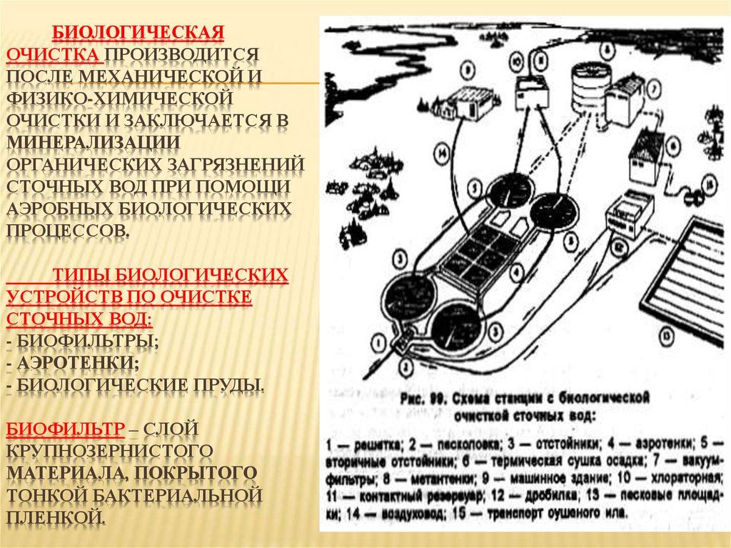 Очистка после. Биологическая очистка производится при помощи. Минерализация органических загрязнений. Процесс биологической минерализации. Механические и биологические примеси.