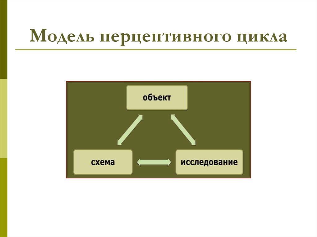 Перцептивная схема и перцептивный цикл