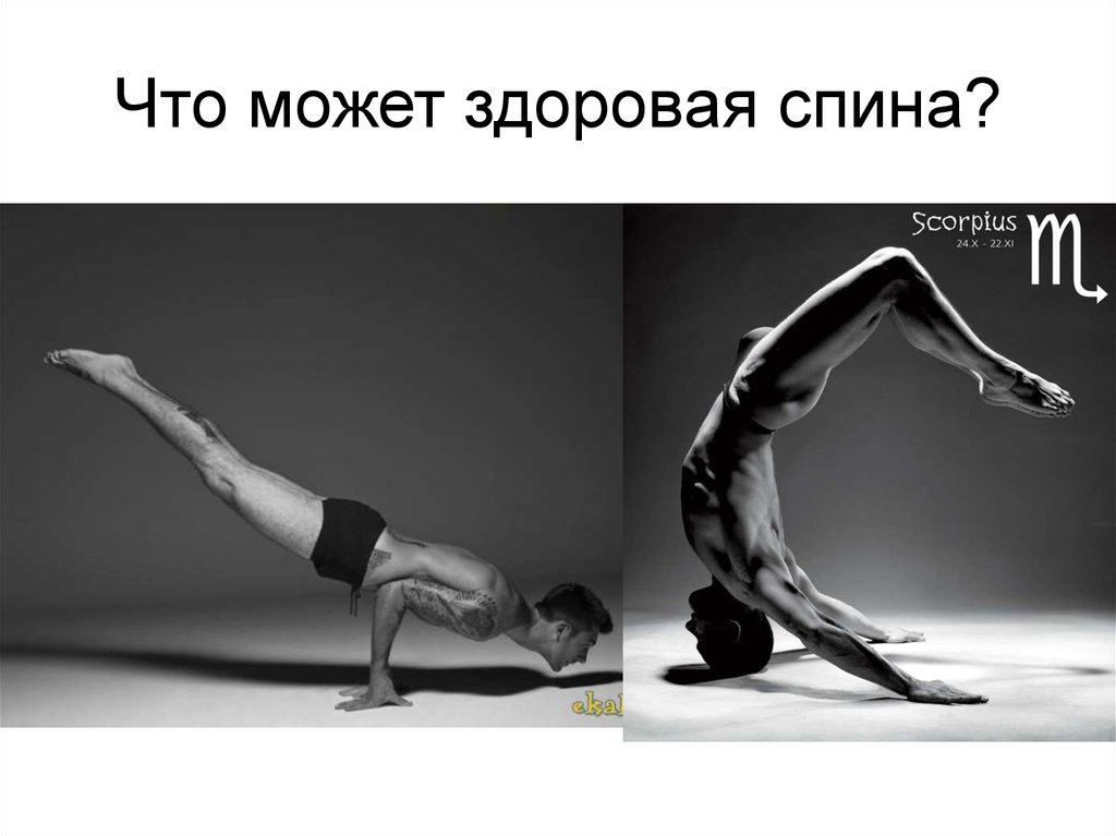 Что может здоровая спина?