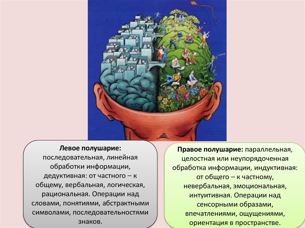 Левое полушарие мозга инсульт. Левое полушарие. Левое и правое полушарие мозга.