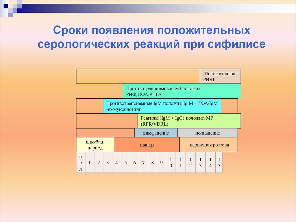 Срок появления