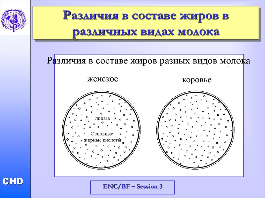 Отличия молока. Различия в составе жиров разных видов молока. Различие вида молока. Различия между видами молока. Молочный жир состоит из.