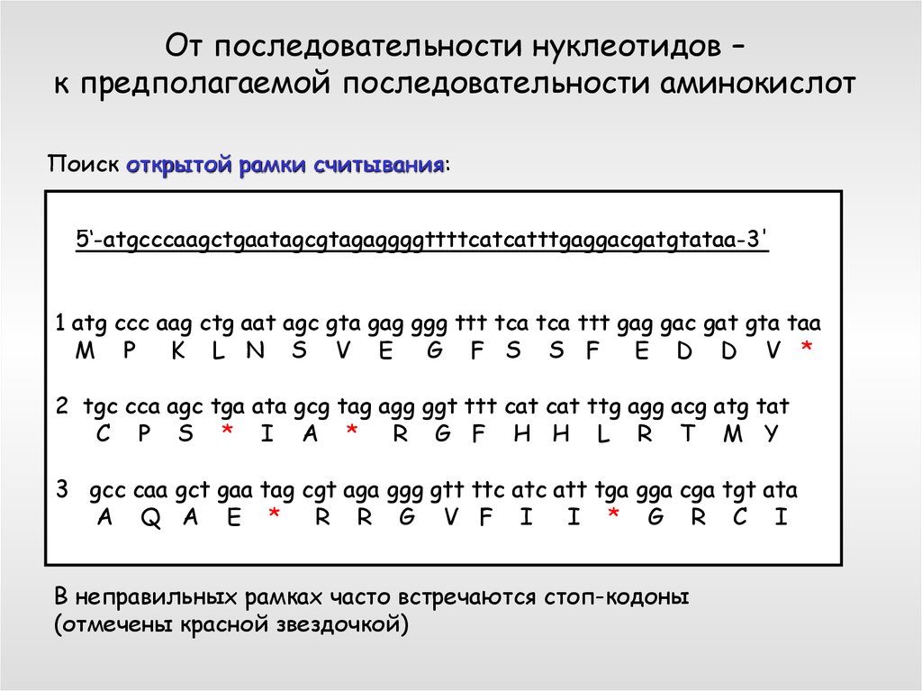 Открытая рамка считывания это. Последовательность аминокислот. Открытые рамки считывания. Способ шифрования аминокислотной последовательности.. Аминокислотная последовательность.