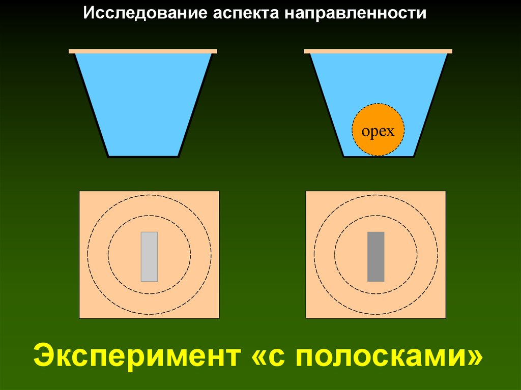 Эксперимент «с полосками»