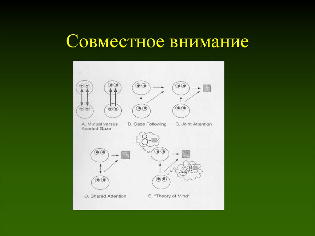 Совместное внимание