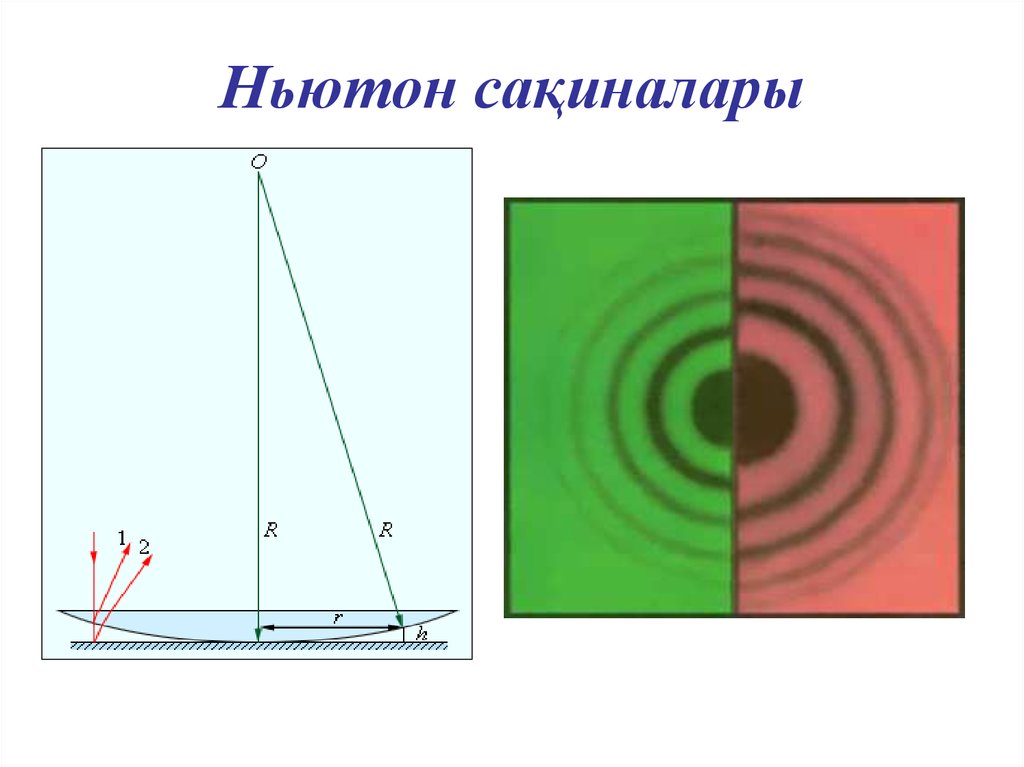 Оптика ньютона. Кольца Ньютона красный цвет. Толқындық оптика. Кольца Ньютона рисунок с пояснением. Кольца Ньютона в белом цвете.