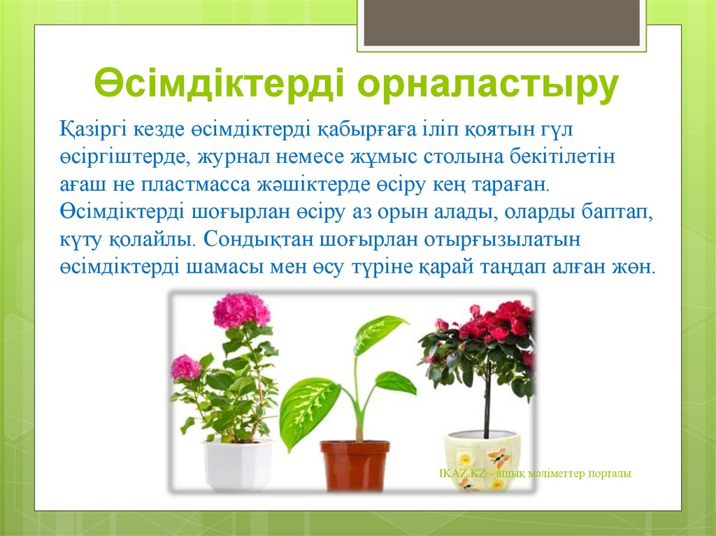 Мәдени өсімдіктер мен үй жануарларының шығу орталықтары презентация