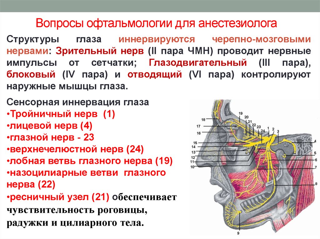 Анестезия в офтальмологии презентация