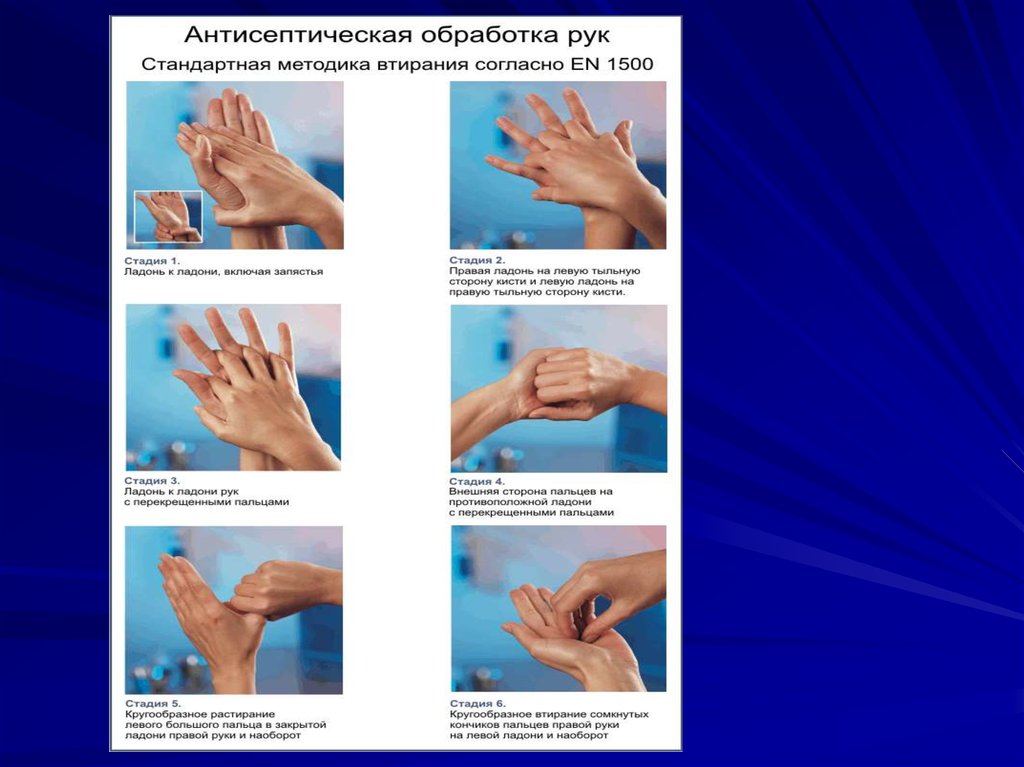 Приказ мытья рук. Алгоритм гигиенической обработки рук медперсонала. Антисептическая обработка рук en-1500. Хирургическая обработка рук этапы и порядок проведения таблица. Гигиеническое мытье рук Европейский стандарт en-1500.
